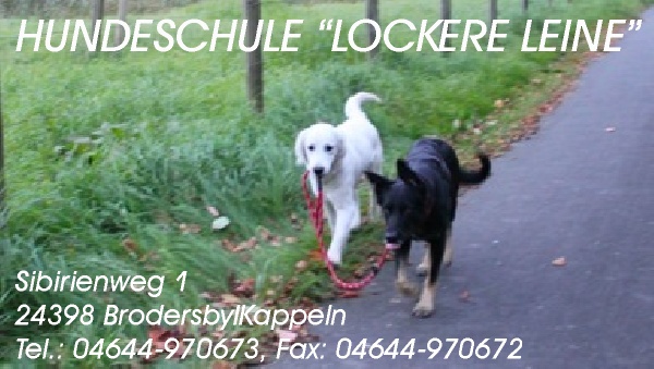 Hundeschule Lockere Leine Brodersby