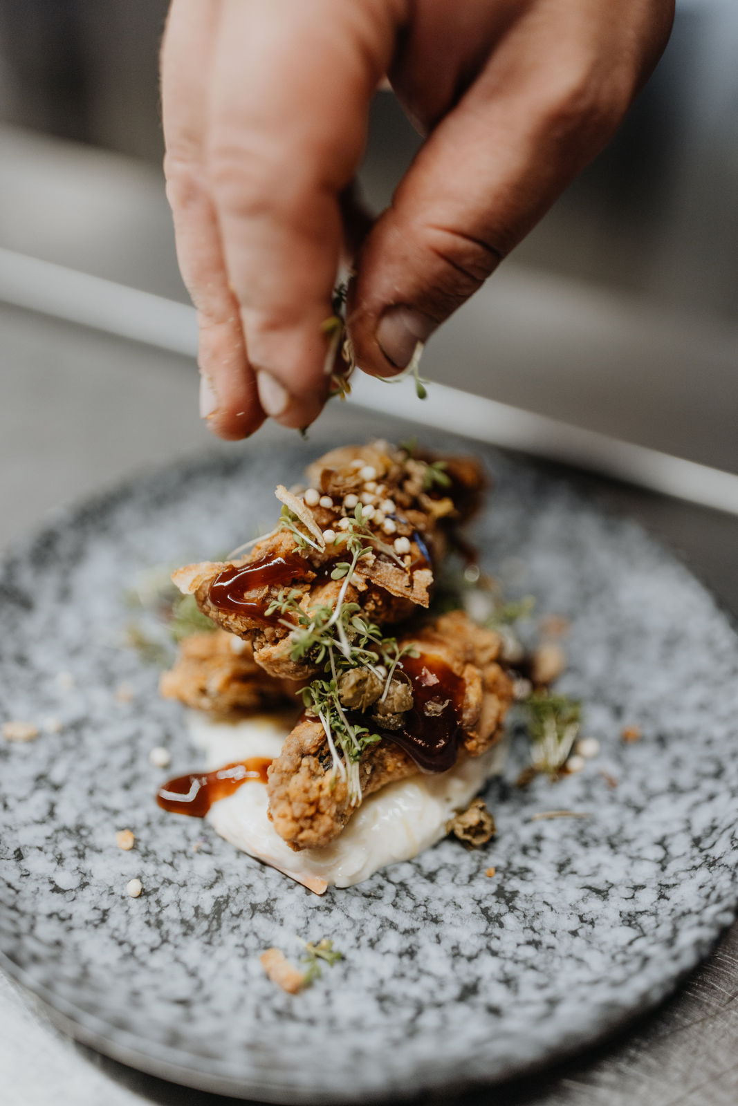 1071 - 2025_06_21_Hundehotel_Grimming-1071