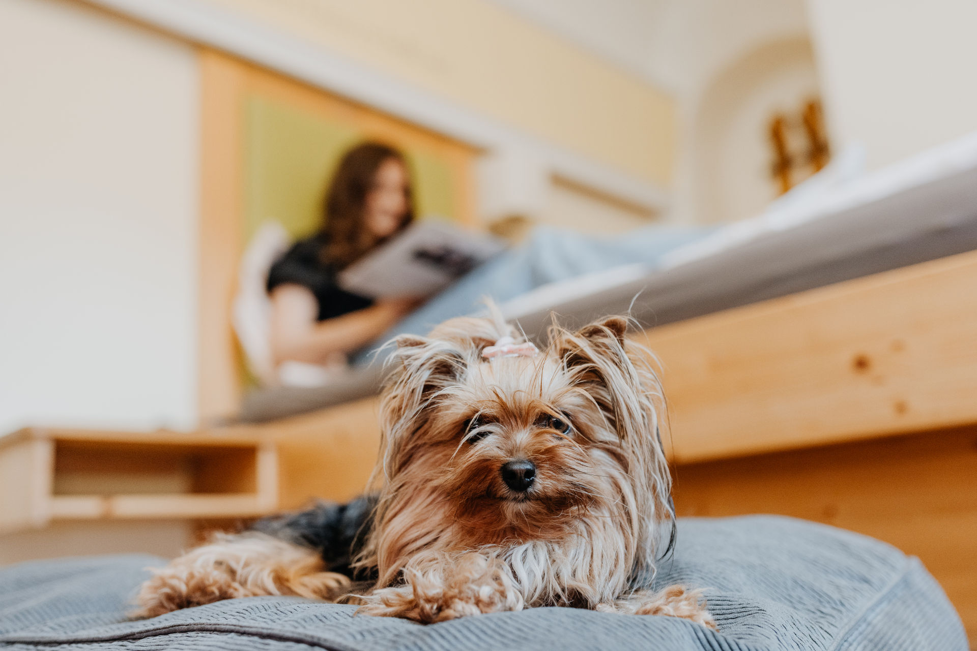 Hotel.Grimming.Rauris00010