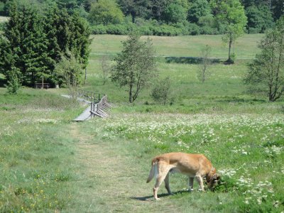 Benimmregeln in der familie