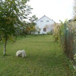 Ferienhaus Haas in Csalad in Palotabozsok