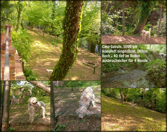 0475-15-Casa-Cuculo-Zaun-Collage