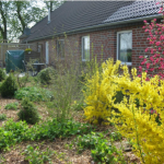 Ferienwohnung Hof Wiesenblick in Butjadingen