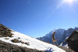 Platz 11 Don Finnito El Doggo - Luftsprung nach einem Schneeball am Ortler