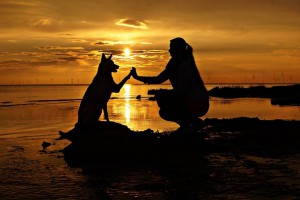 Platz 12 Alexandra Kiss - Kelly und Frauchen beim Sonnenuntergang am Nordseestrand bei Wremen