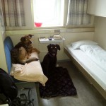 anreise20140713_073916