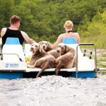 Naturcampingplatz am Springsee