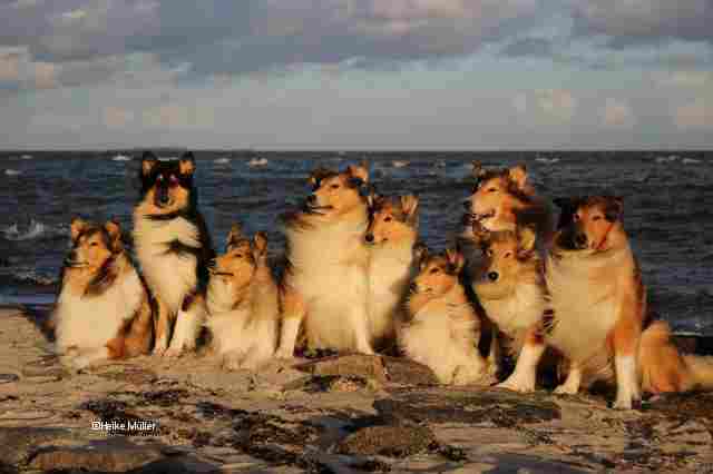 Urlaubsunterkünfte In Denen Eine Unbegrenzte Anzahl Von