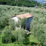 Ferienwohnungen im Haus Laura in Malcesine am Gardasee