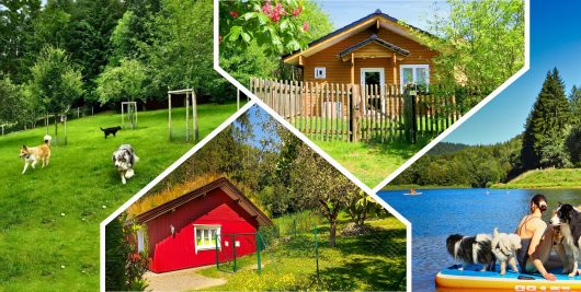 Brangs Hundeparadies in der Eifel