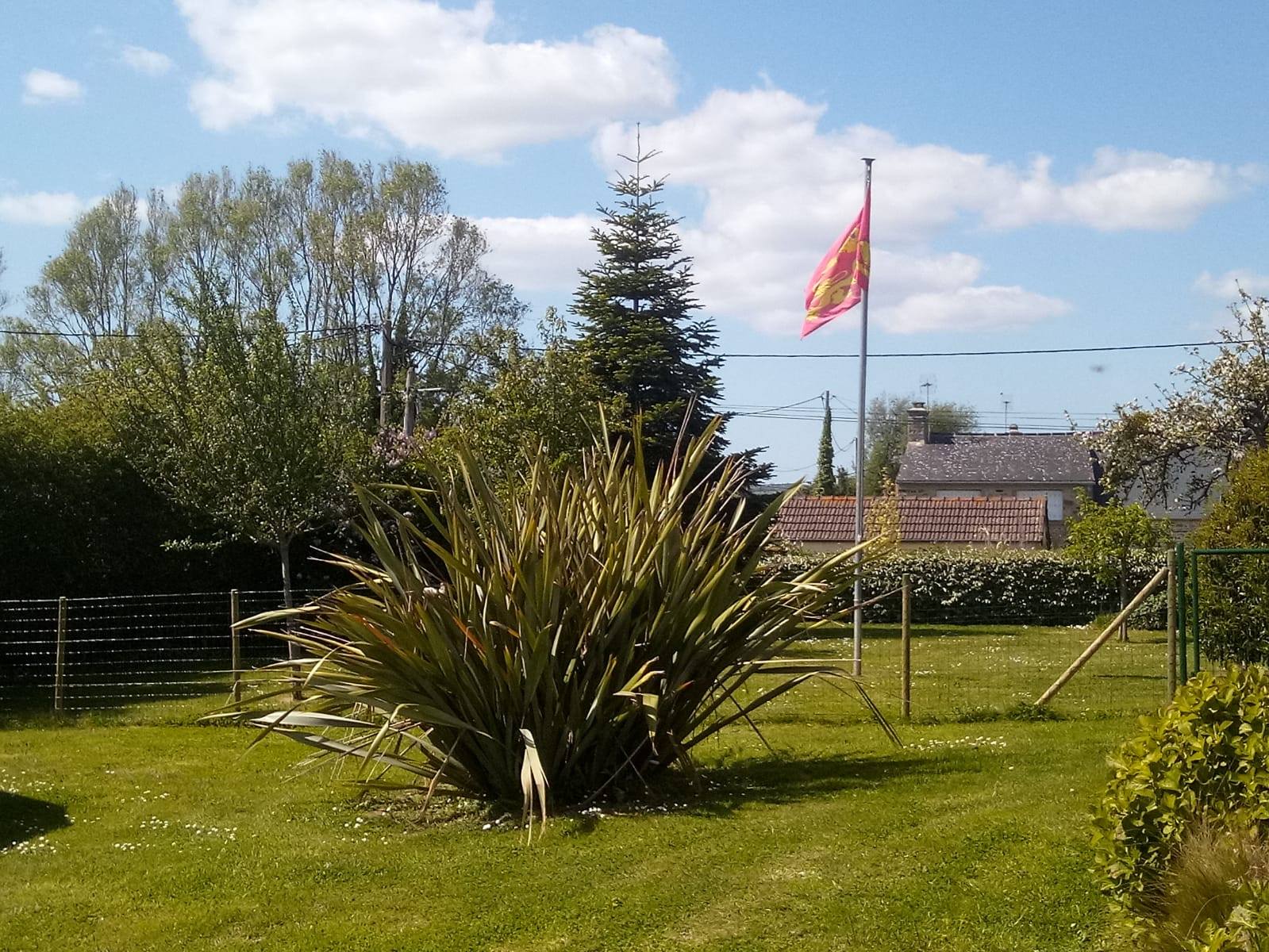 0994-Escale-de-Mer 31