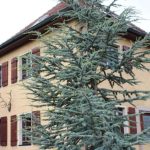 Ferienhaus Altes Forsthaus in Gebsattel OT Kirnberg