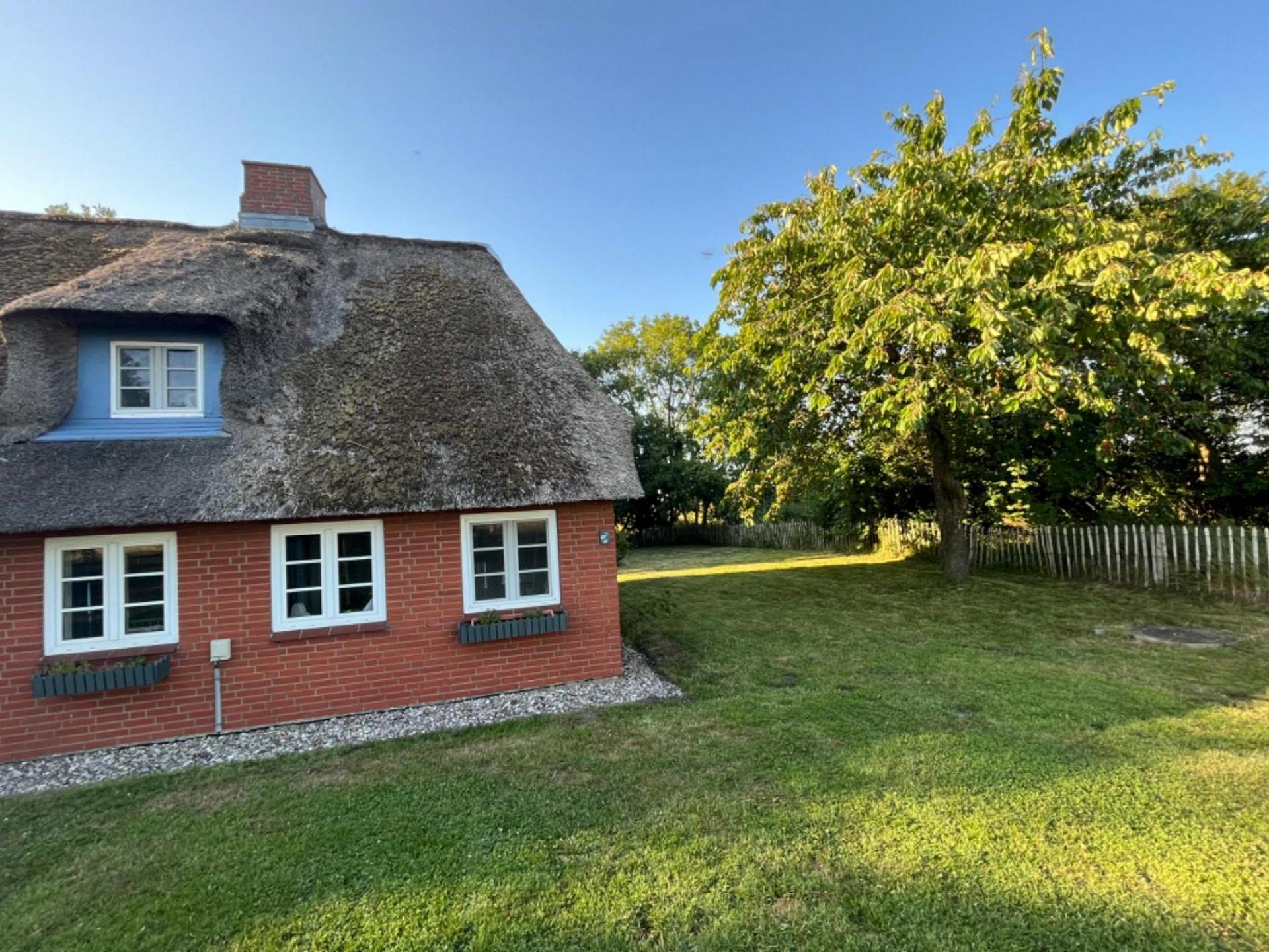 1064 - Garten2