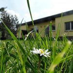 Ferienhaus Sonnenschein in Serrahn