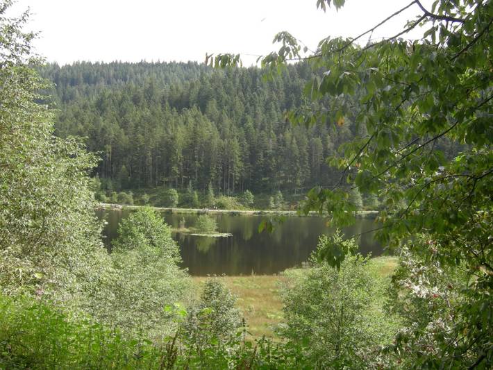 Bis zur Nagoldtalsperre sind es nur 300 Meter