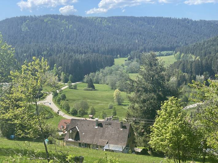 Blick von oben auf das Ferienhaus