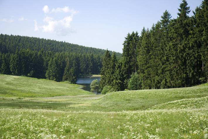 Dichte Wälder - klare Seen - gesundes Klima