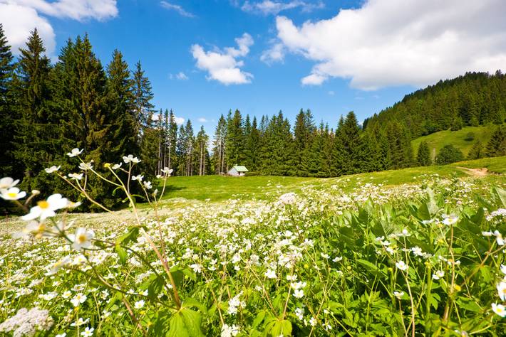 Die Ferienregion Seewald - Ein Naturparadies