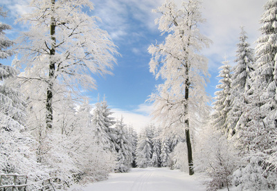 Winter im Solling