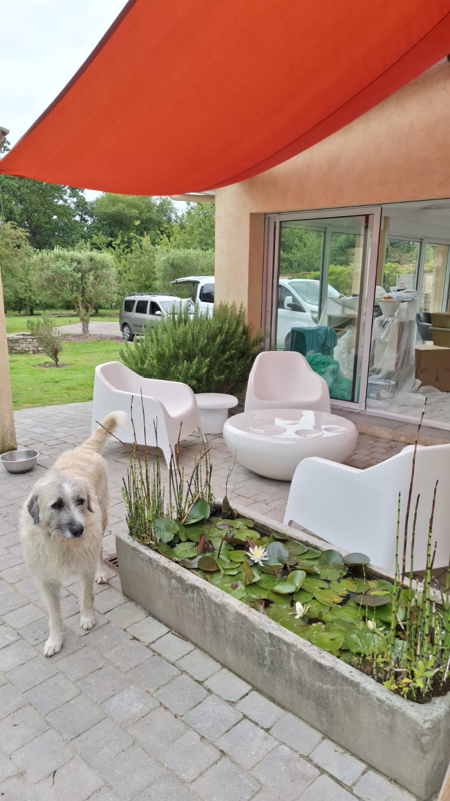 1100- La Chouette 04 (2)