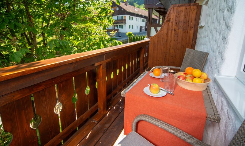 1109-Ferienwohnung-Huettenschnauzer-00 (2)