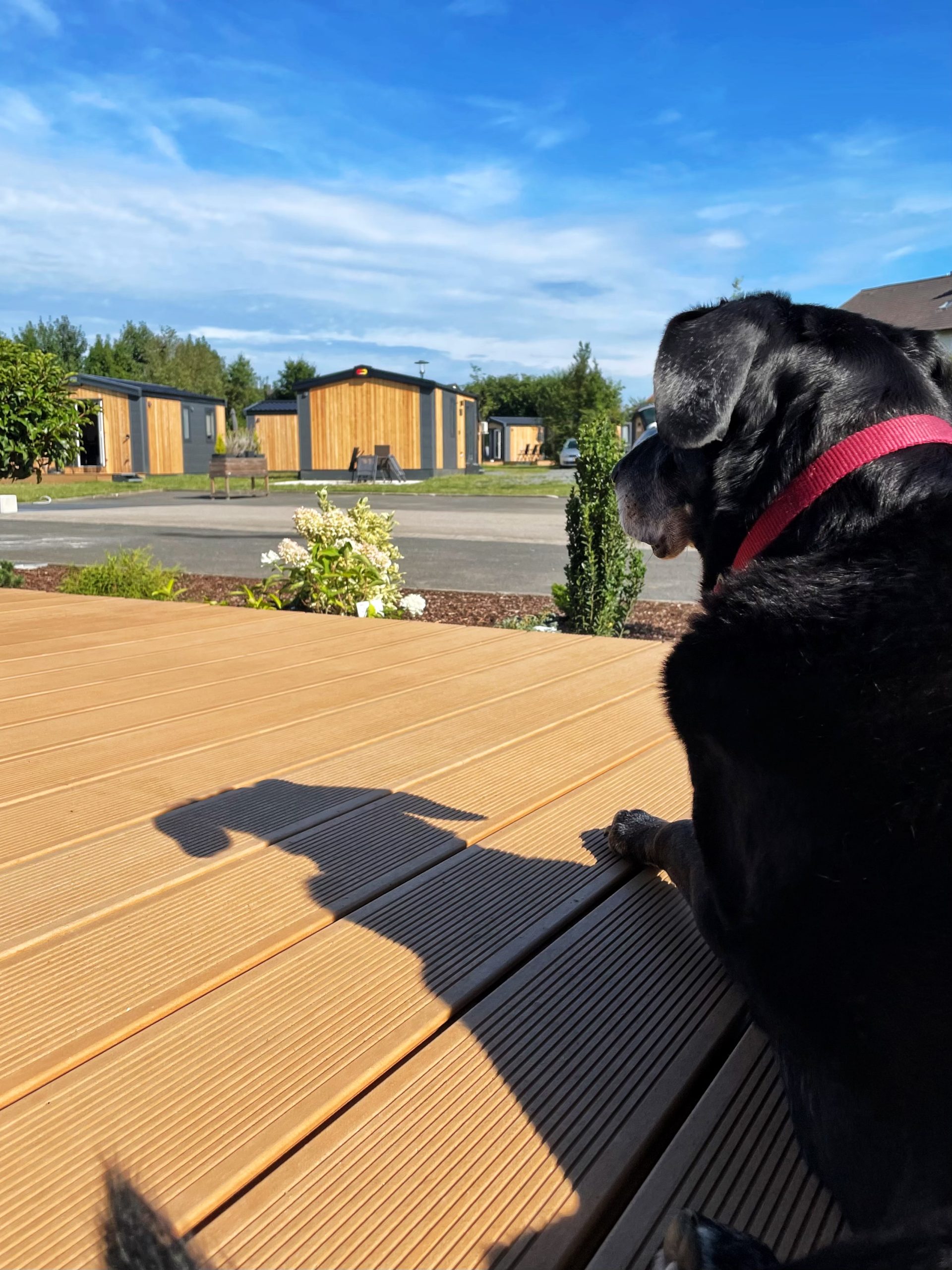 1113-Tinyhouse-Campingpark-Nabburg-02