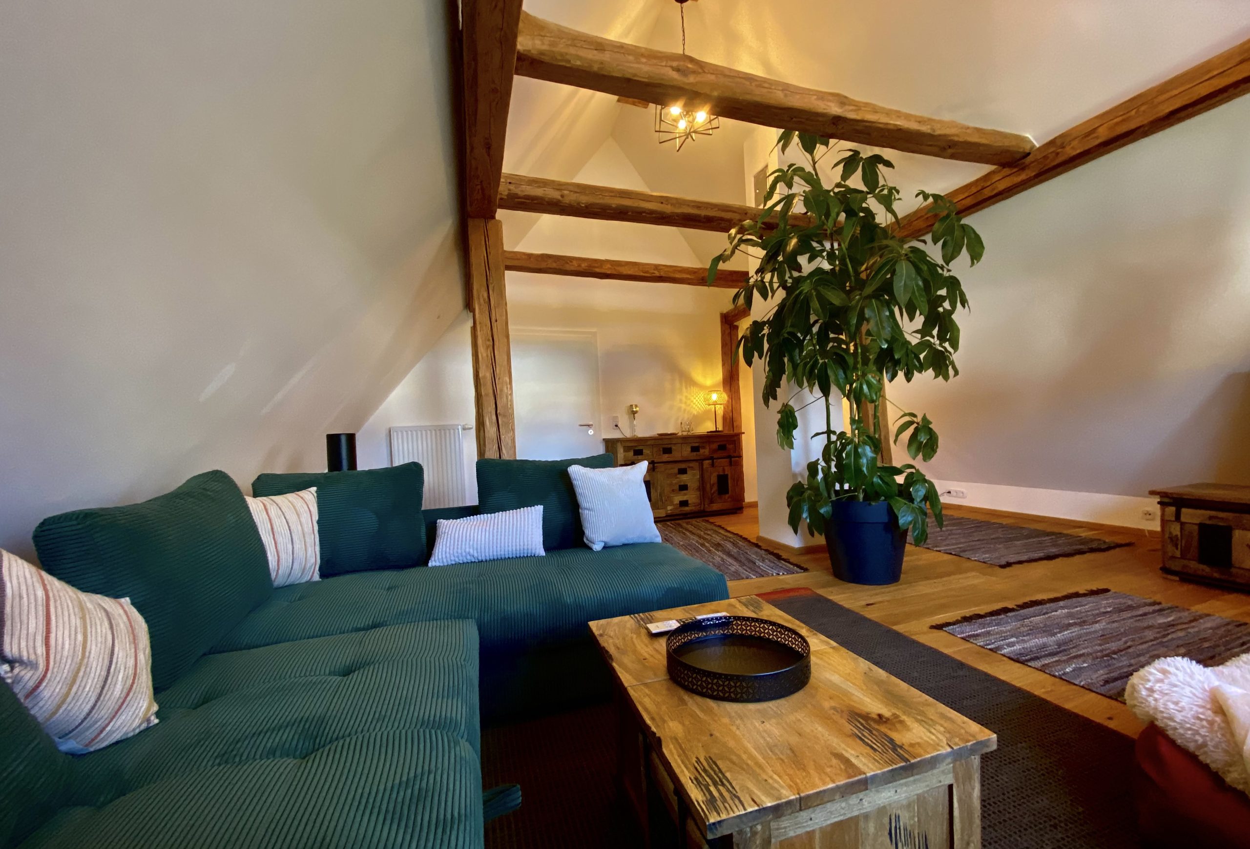 1121-Ferienhaus-Windhundurlaub- 05