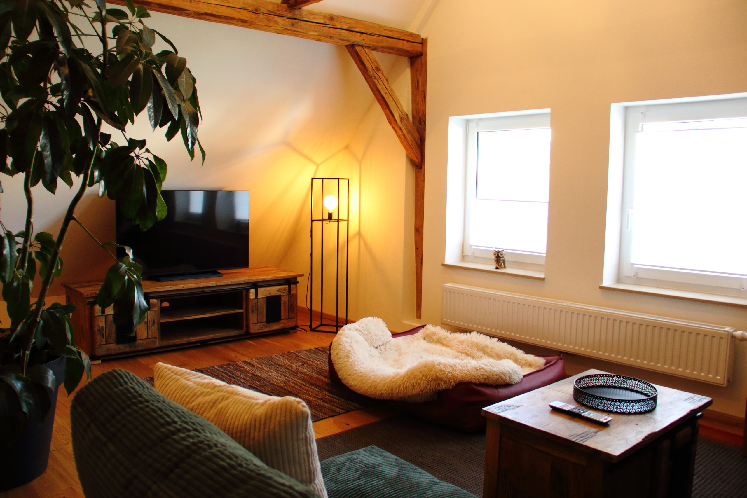 1121-Ferienhaus-Windhundurlaub- 08