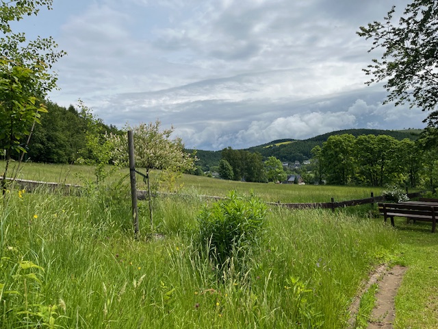 1123-Ferienanlage-Geisingblick 00 (2)