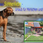 Ferienhaus „Sonnenliebe“ Scharbeutz-Pönitz