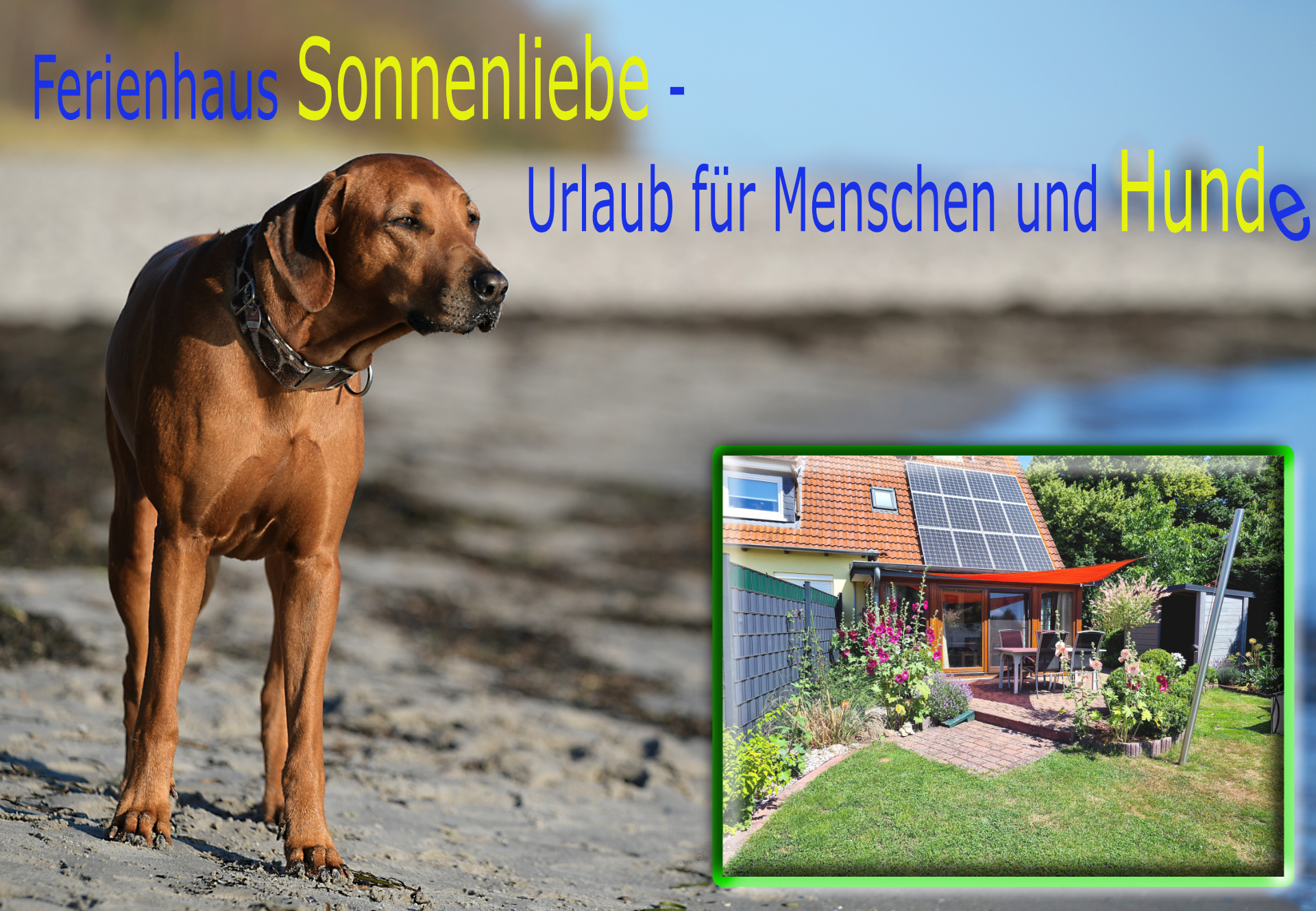 1124-Sonnenliebe-Bild 1 - Titelbild