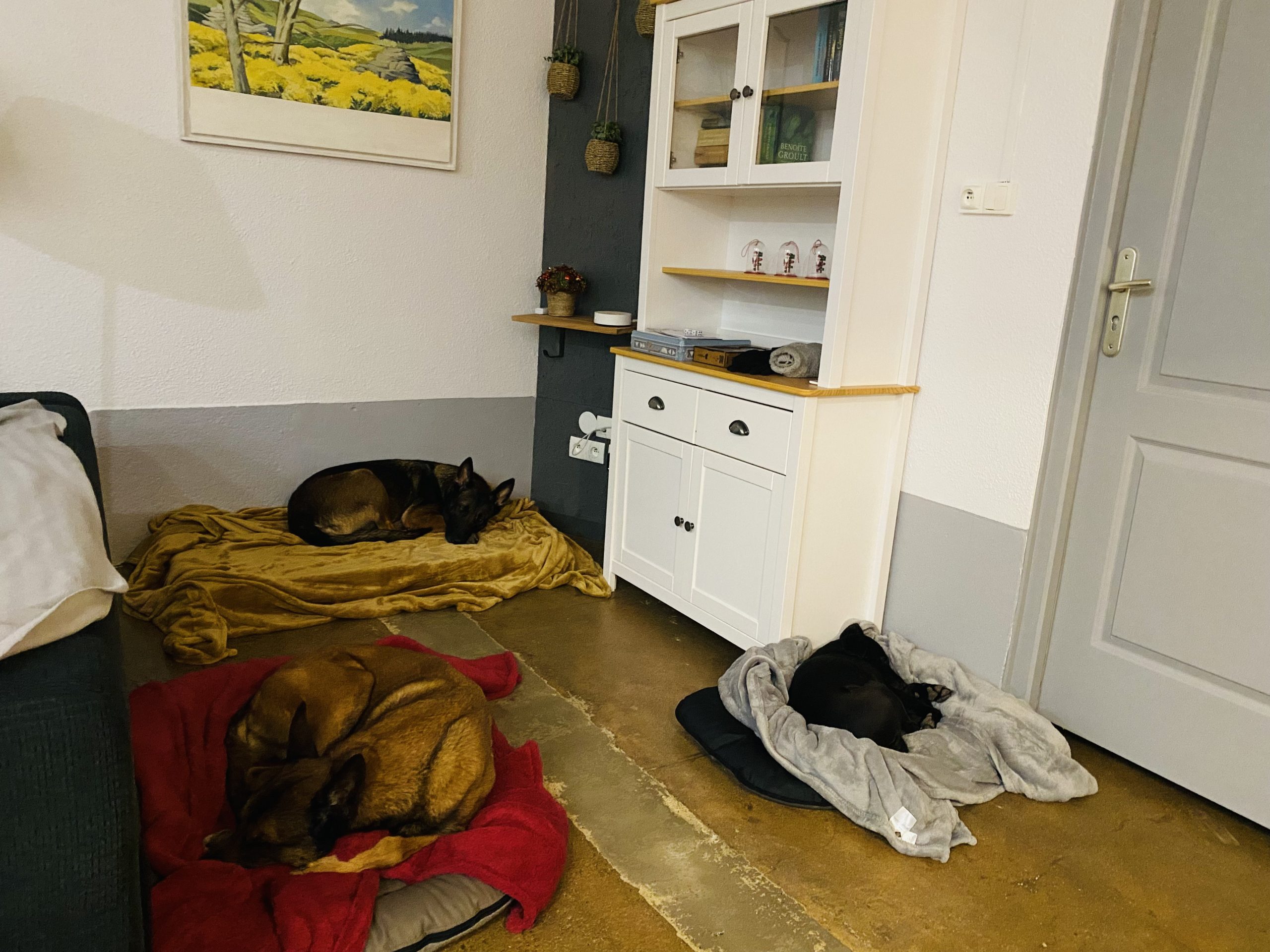 1227-les-giscons-wohnung-sioulet-04