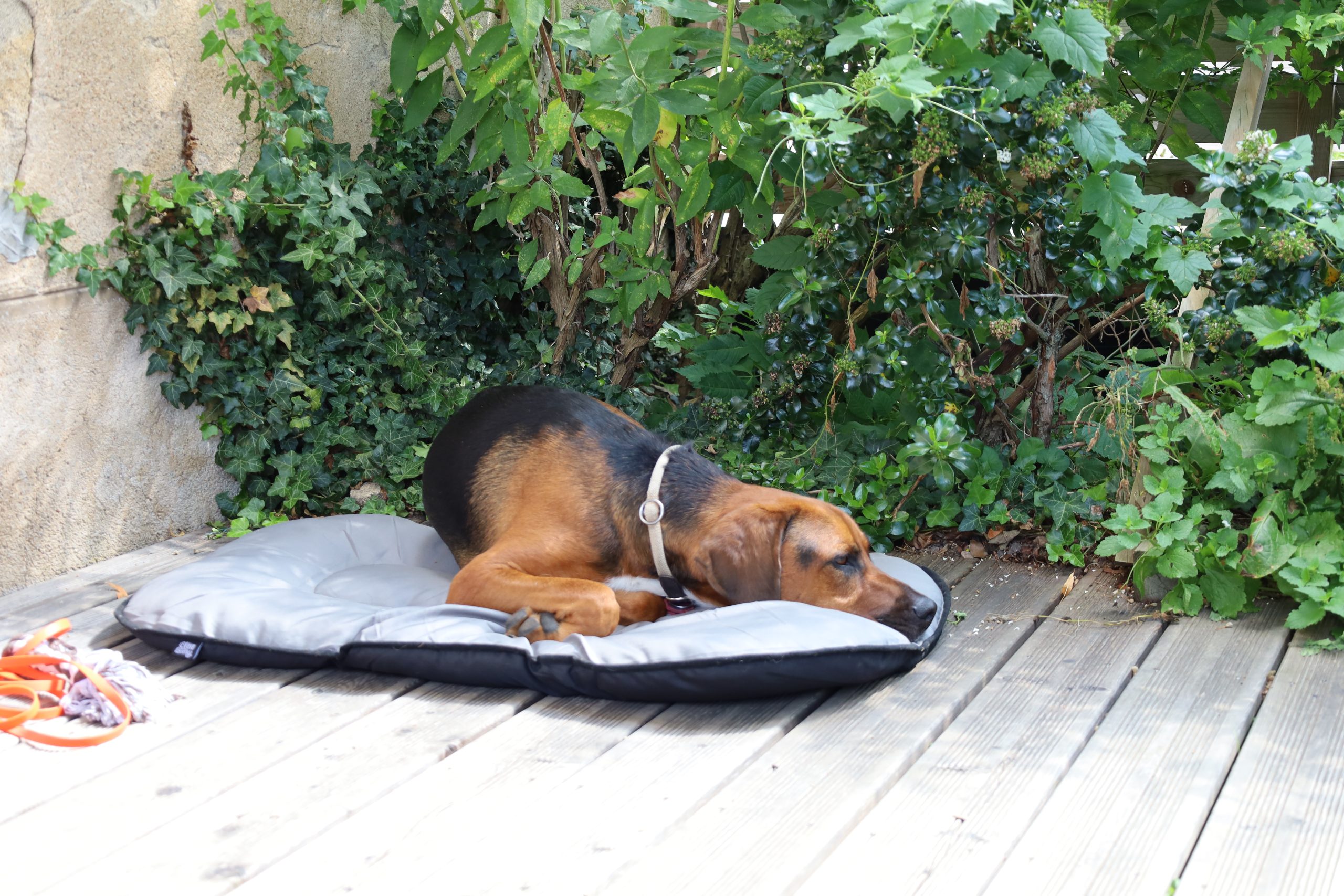 1228-les-giscons-wohnung-bouron-11 1228-les-giscons-wohnung-bouron-11