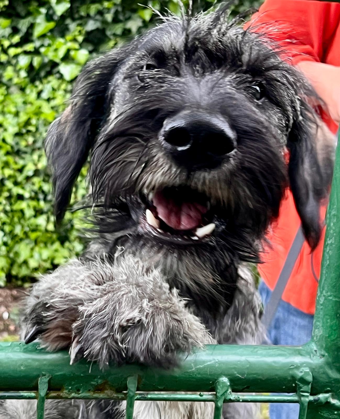 1228-les-giscons-wohnung-bouron-12 1228-les-giscons-wohnung-bouron-12