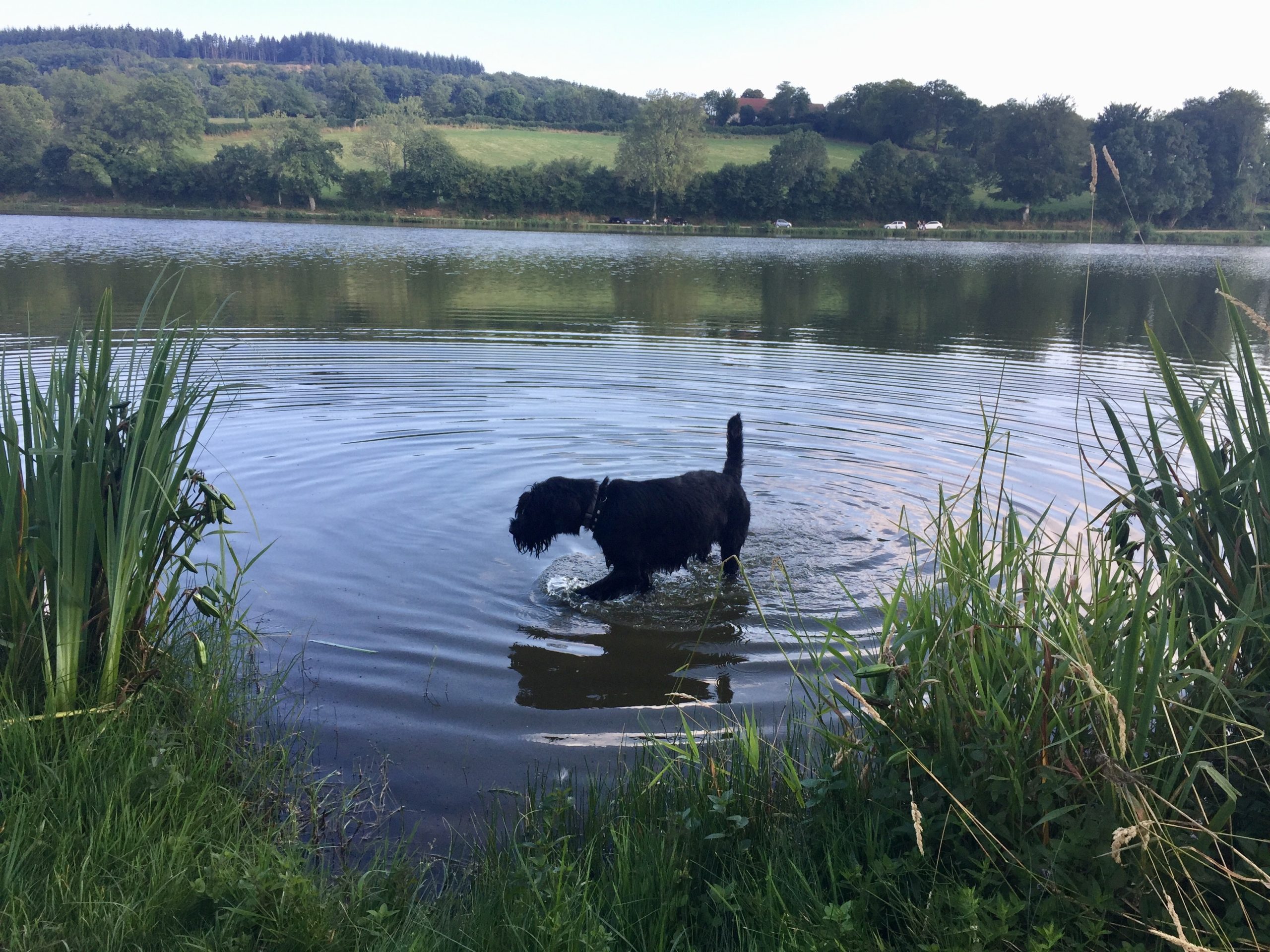 1228-les-giscons-wohnung-bouron-13 1228-les-giscons-wohnung-bouron-13