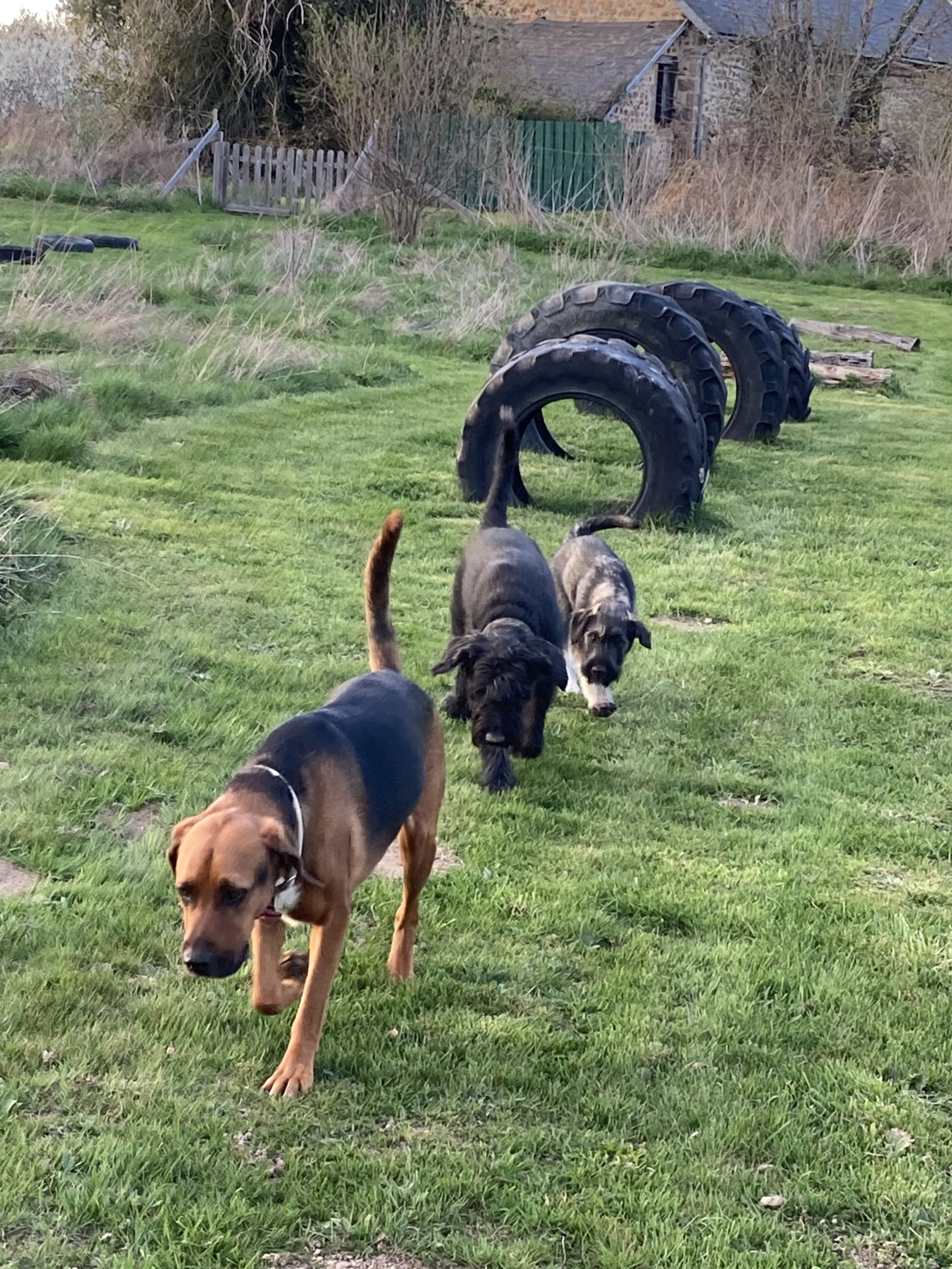 1230-les-giscons-wohnung-tartasse-09