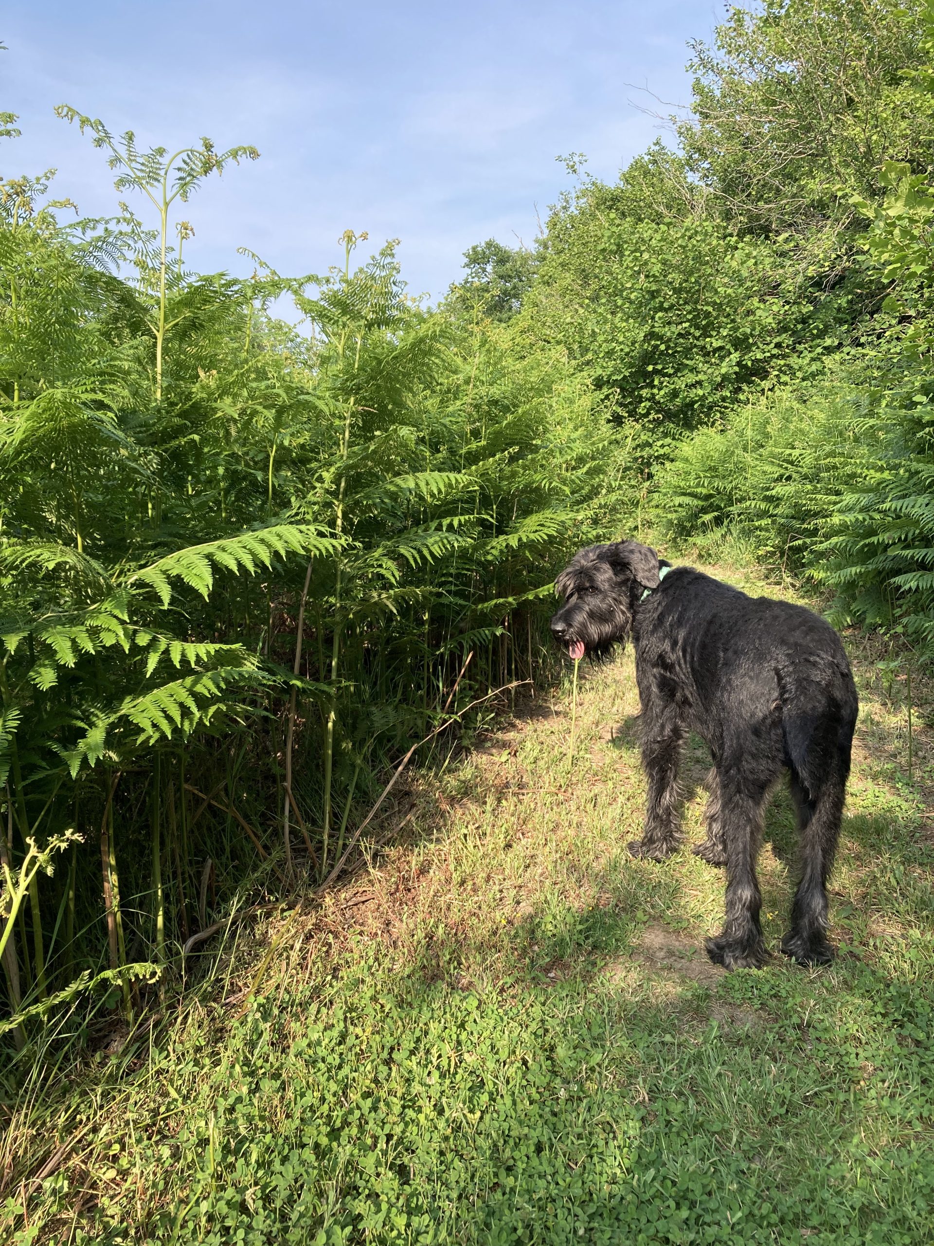 1230-les-giscons-wohnung-tartasse-10