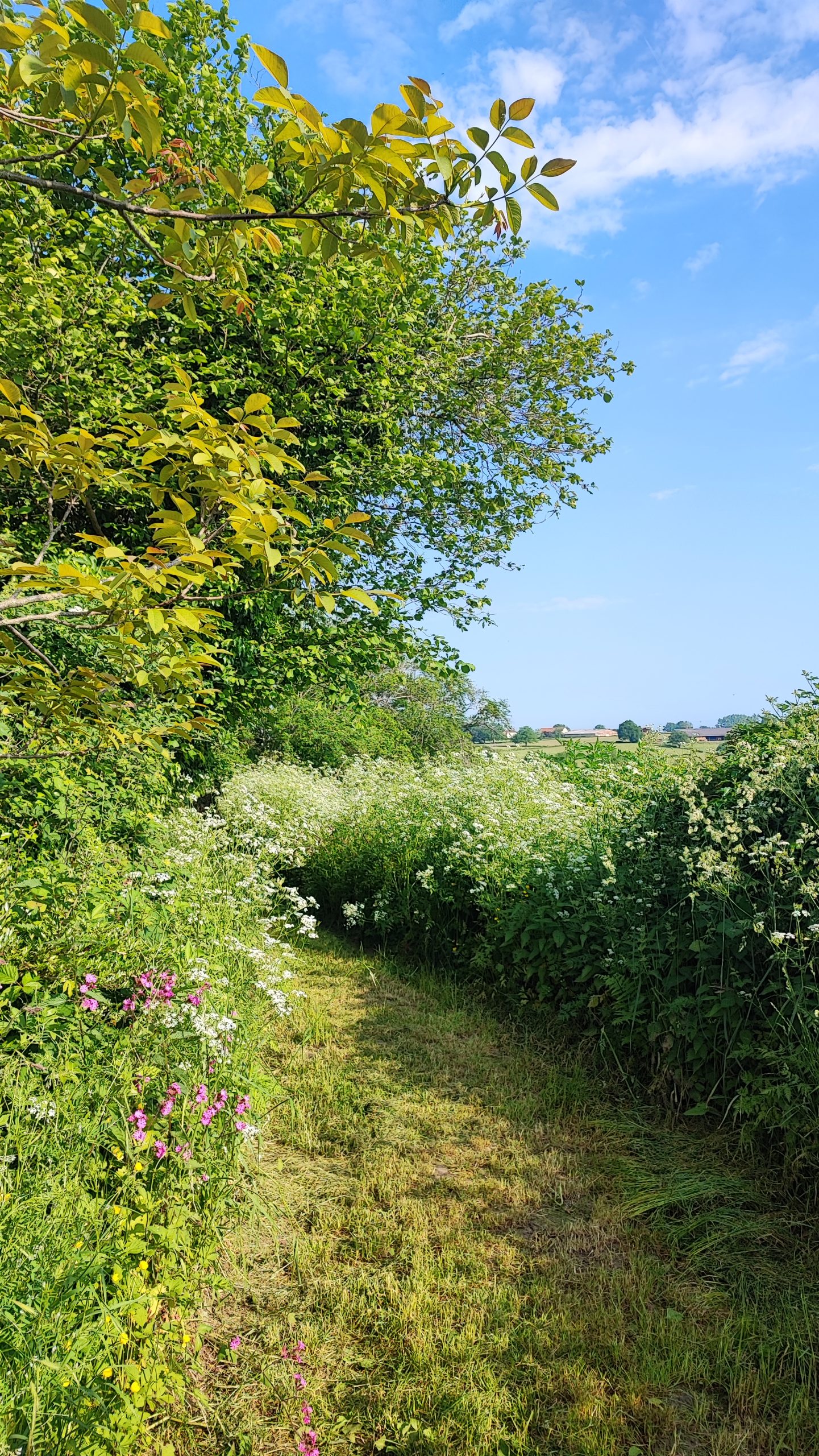 1230-les-giscons-wohnung-tartasse-11