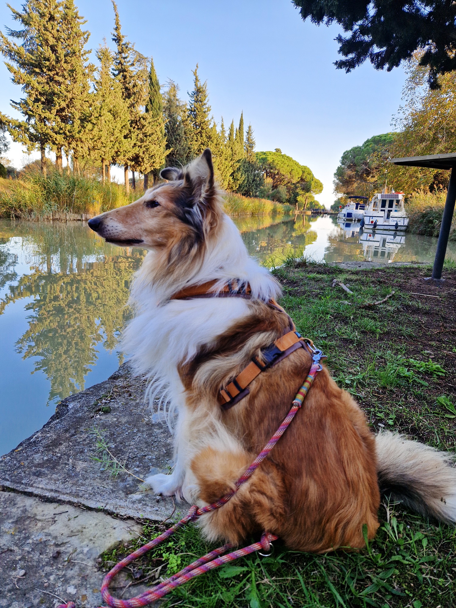 22_Ginestas_Spaziergang am Canal du Midi