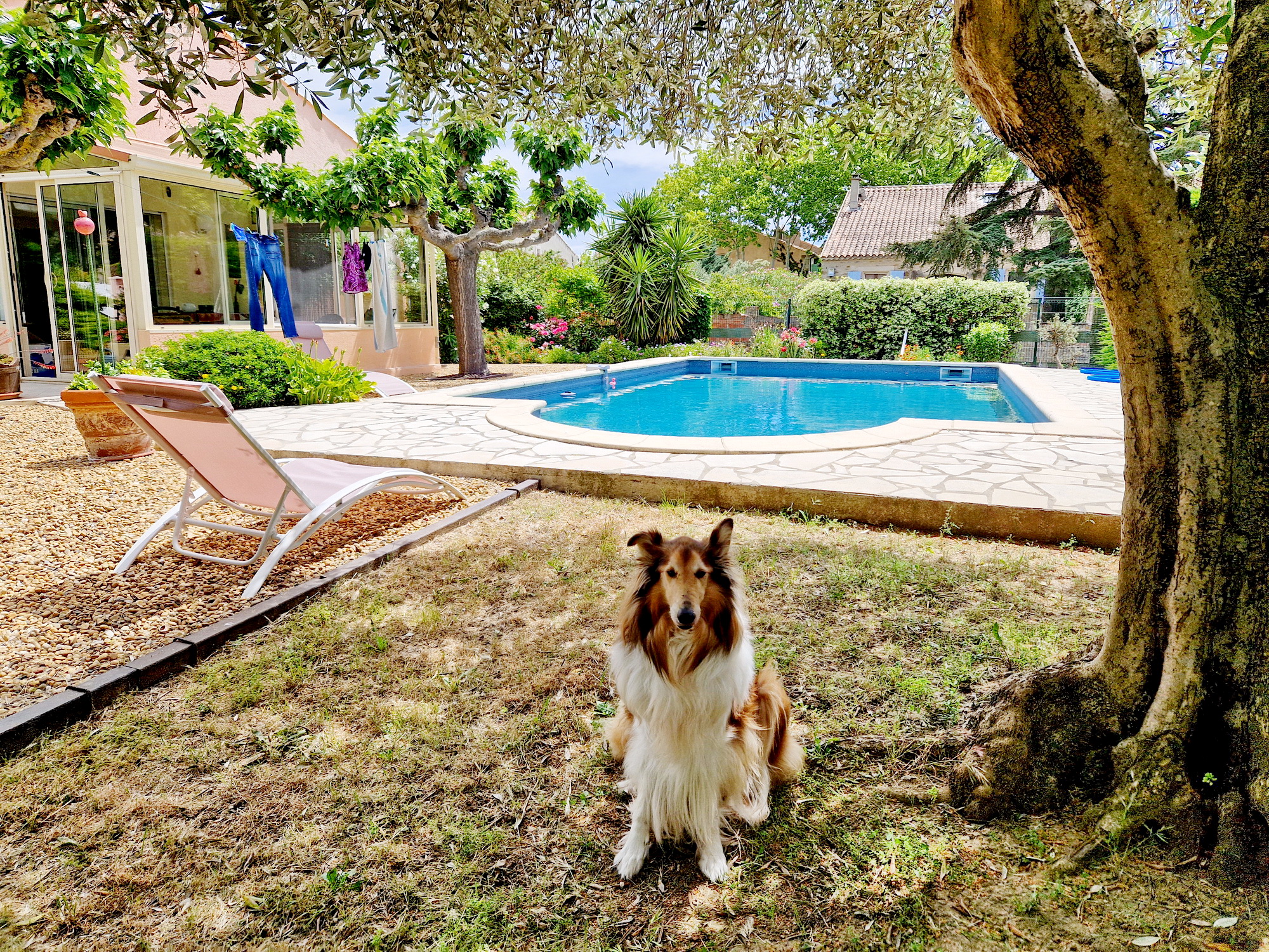 4_Ginestas_Gartenbereich