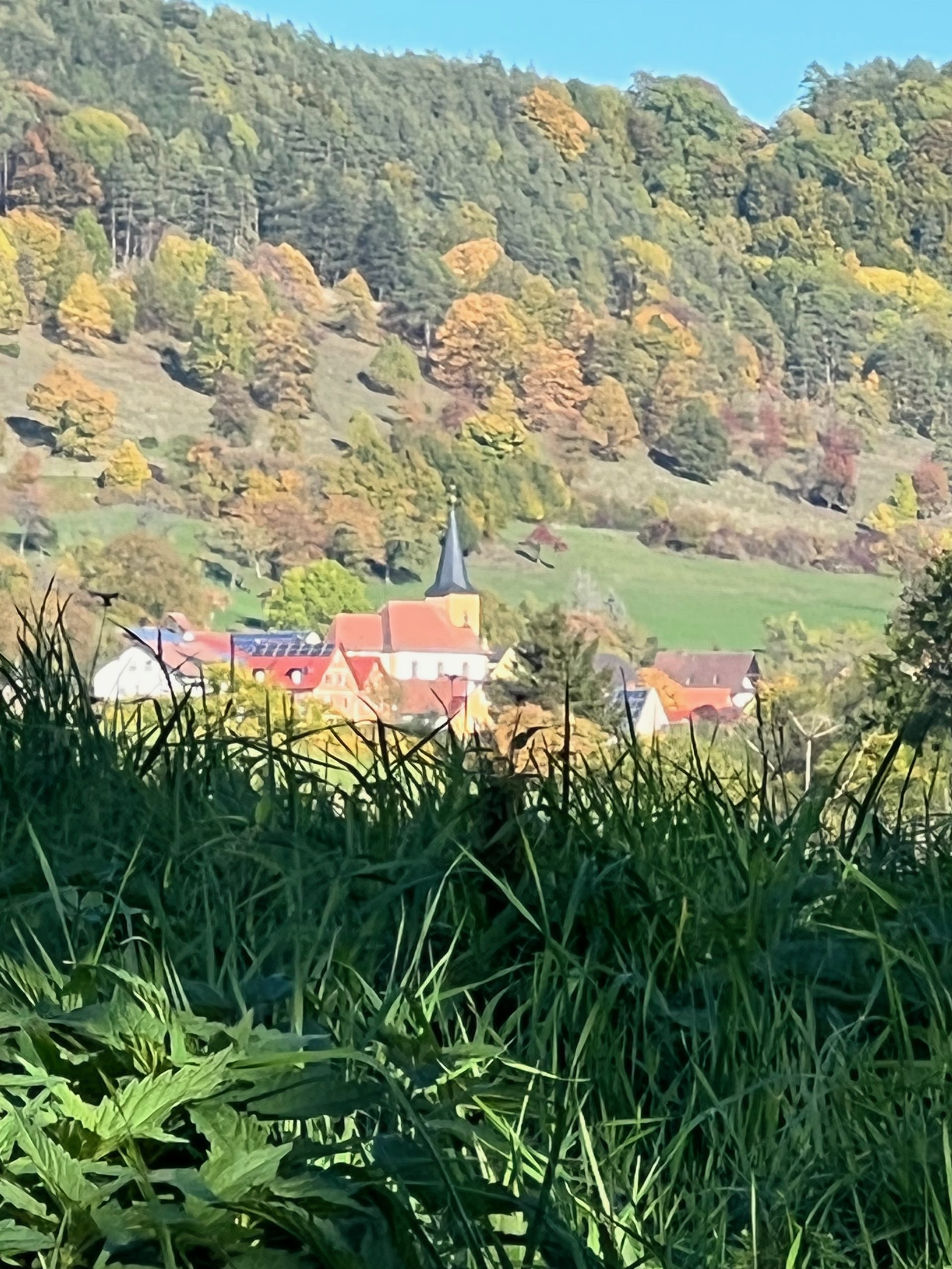 IMG_1059 Kopie