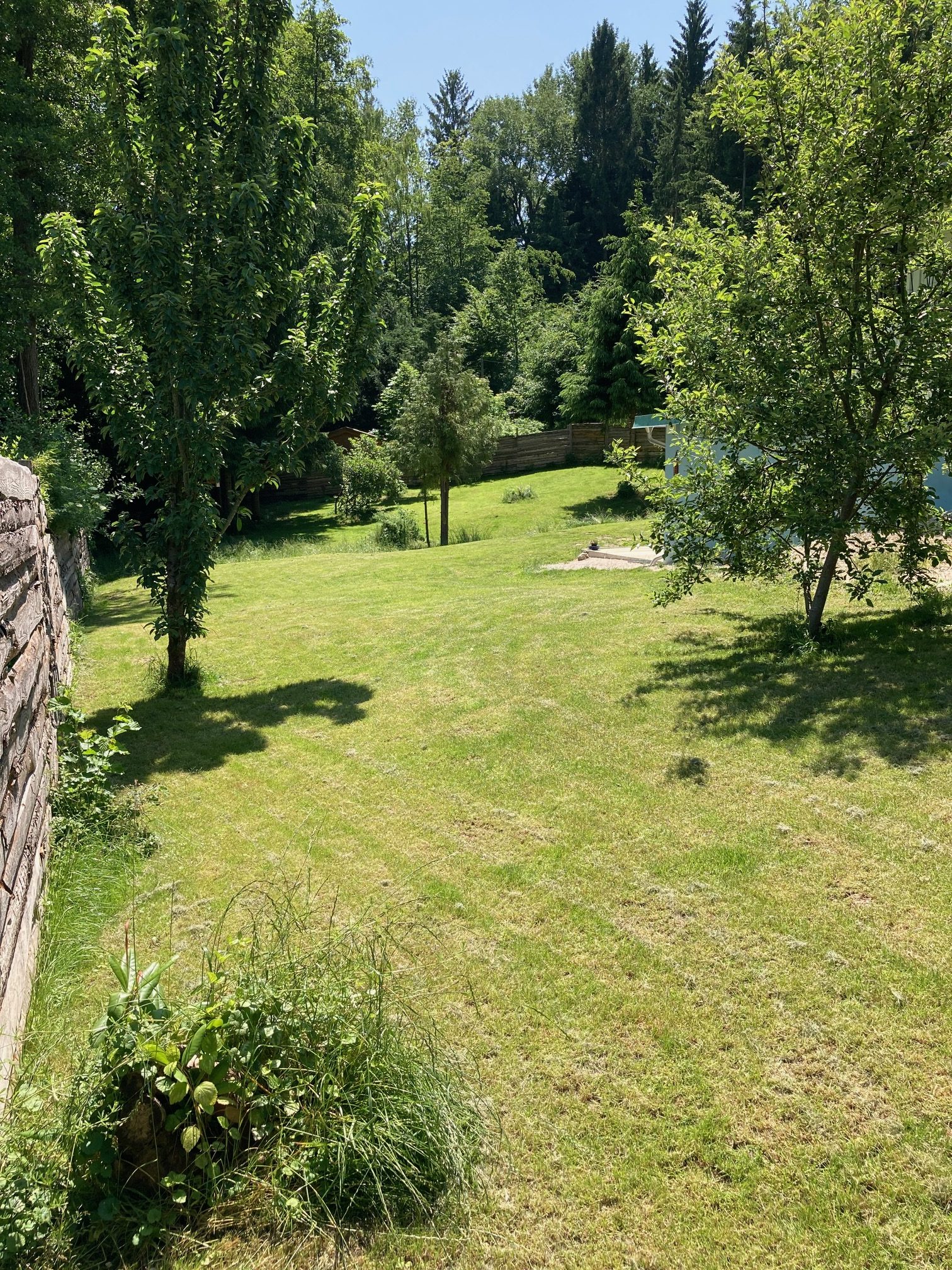 1135-waldchalet (14)