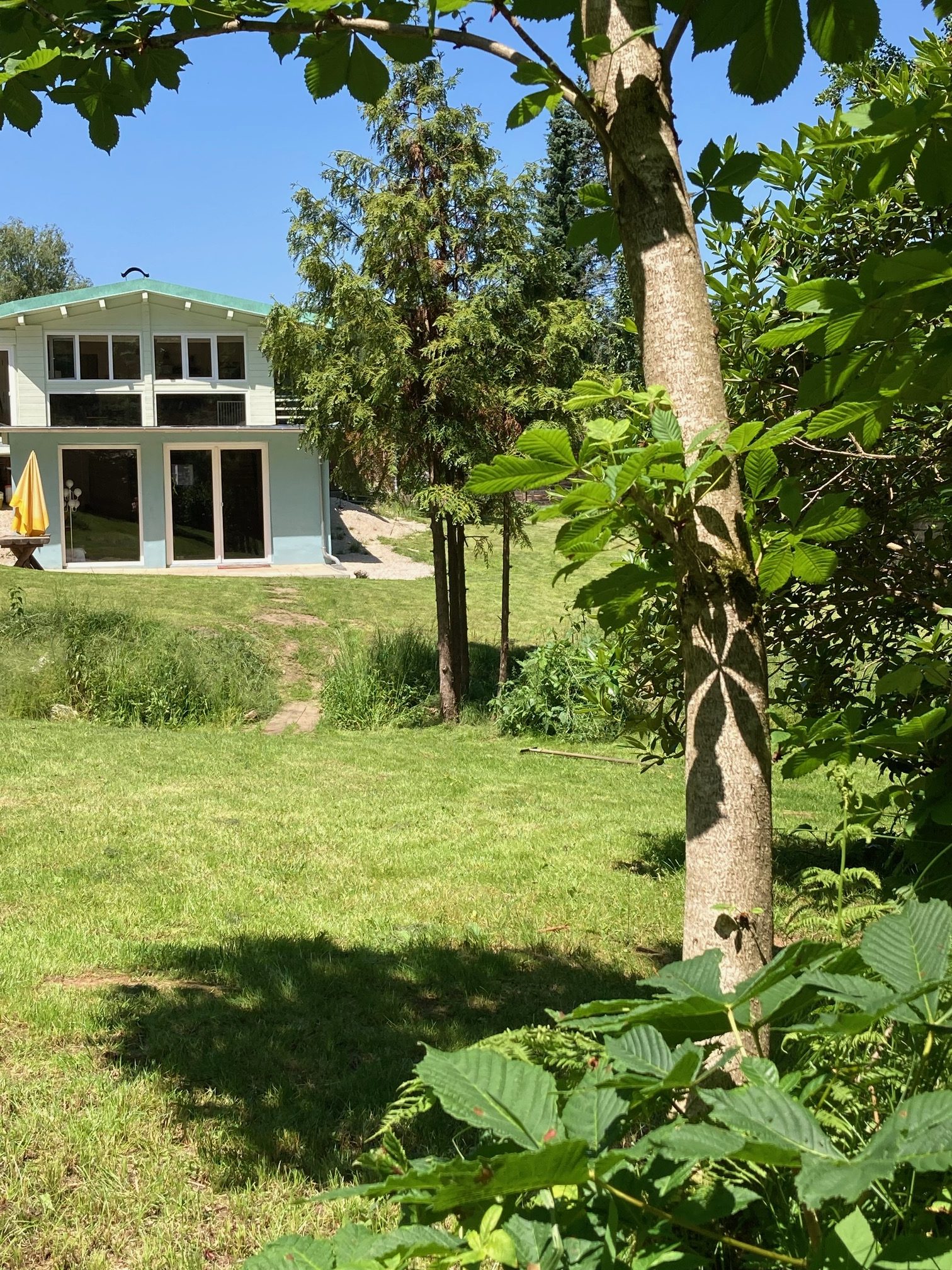 1135-waldchalet (15)