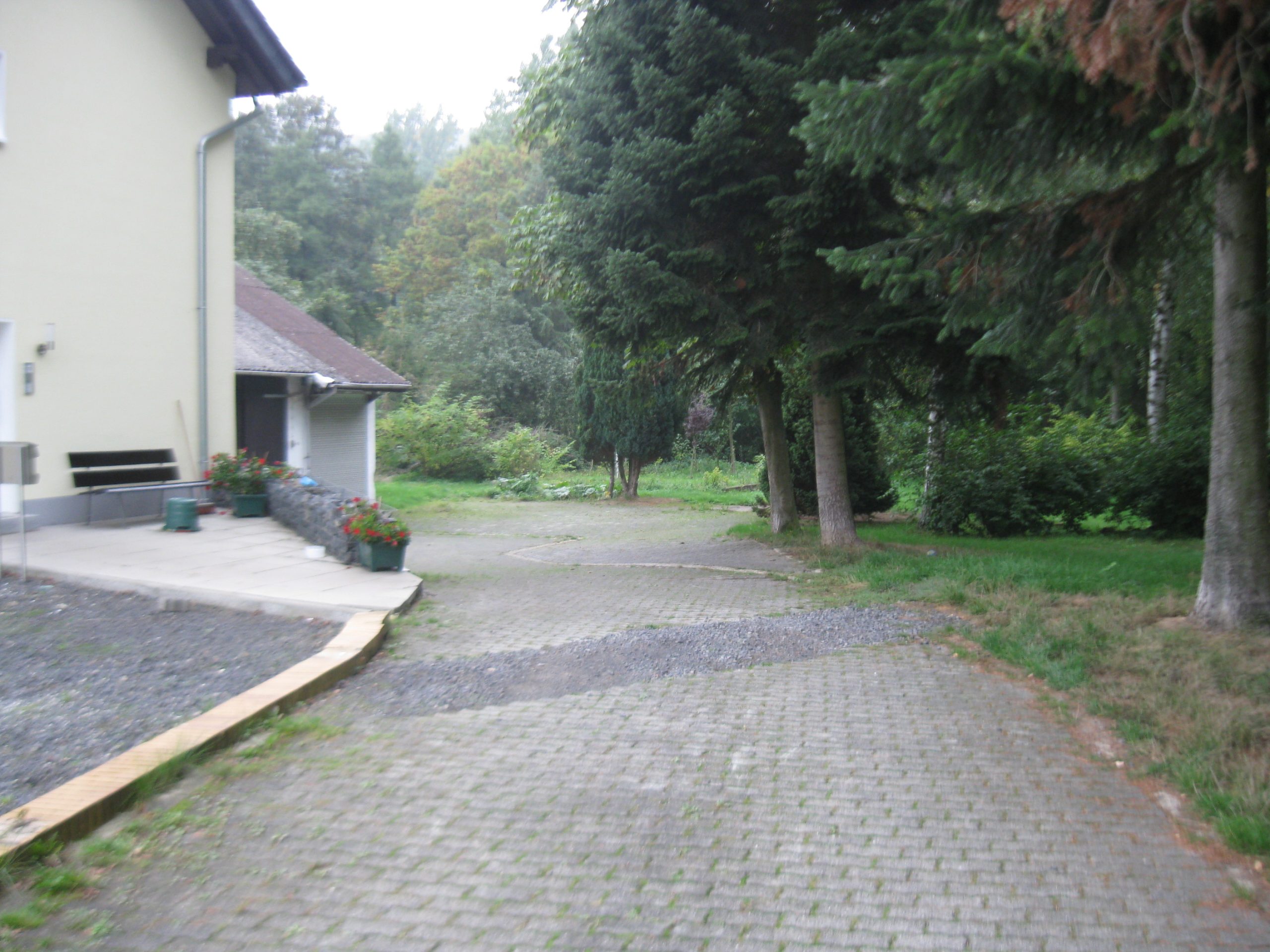 Blick in den Garten von der Einfahrt aus Blick in den Garten von der Einfahrt aus